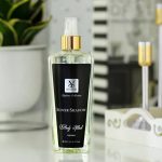 بادی اسپلش مردانه شمیاس مدل سیلور شادو (Silver Shadow) حجم 250 ml