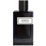 عطر مردانه اسپیریتو برندینی | Brandini Spirito - Image 2