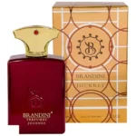 عطر ادوپرفیوم مردانه برندینی جورنی حجم ۳۳ میلی لیتر