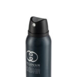 اسپری بدن مردانه دلووان مدل Blue Chanel 102 بلو شنل حجم 200 میلی لیتر - Image 2